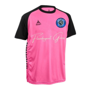 Jurong City Away Pink Jersey